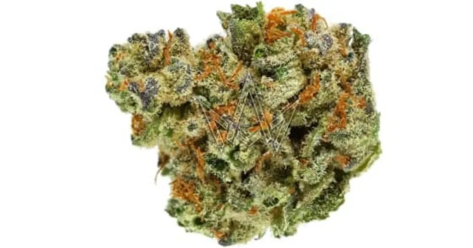 Close-up of a cannabis bud with green and orange hairs on a white background