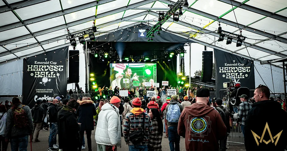 The 2021 Emerald Cup: Harvest Ball — featured image
