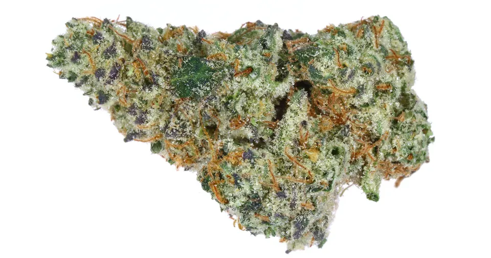 Close-up of a frosty green cannabis bud with orange hairs on a white background