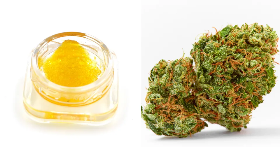 Cannabis concentrate in a small jar beside a green cannabis bud on a white background