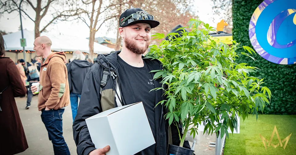 Man carrying a potted plant and a box outdoors at an event, smiling in a cap and backpack