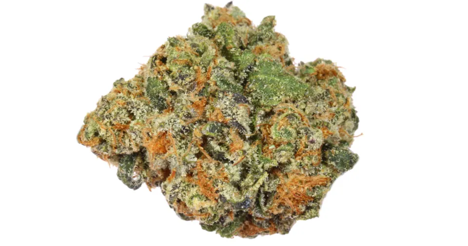 Close-up of a cannabis bud with green leaves and orange hairs on a white background