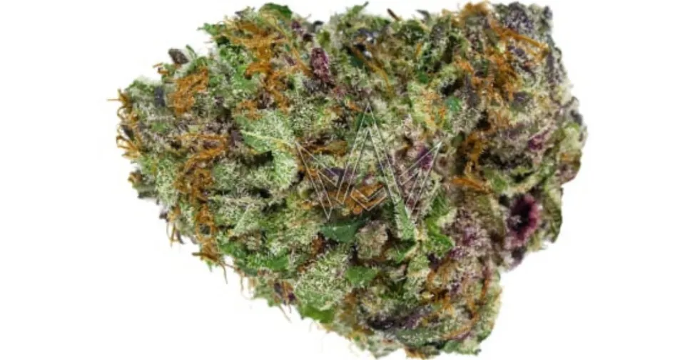 Close-up of a dense green and purple cannabis bud with orange hairs on a white background