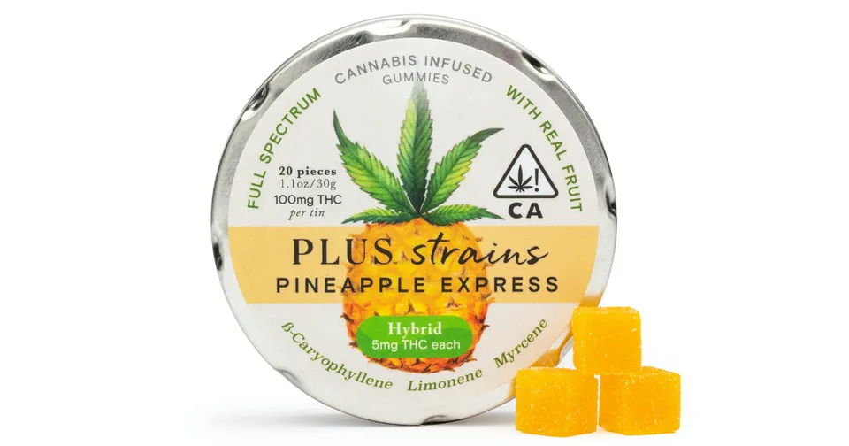 Round container of PlusStrains Pineapple Express gummies with green cannabis leaf and yellow cubes beside it