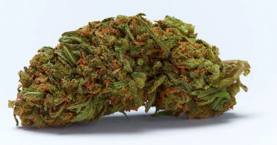Close-up of a cannabis bud with green leaves and orange hairs on a white background