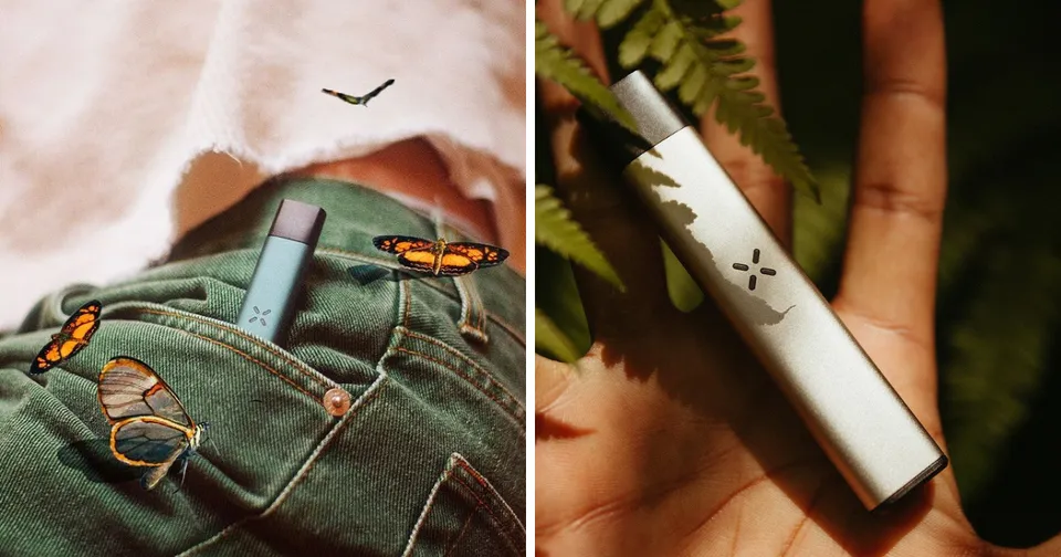 Person holding a white vape pen over green jeans with yellow butterfly patches and a black bird tattoo