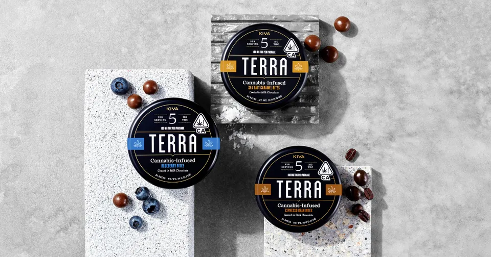 Three TERRA coffee tins on a gray stone surface with scattered coffee beans and a spoon