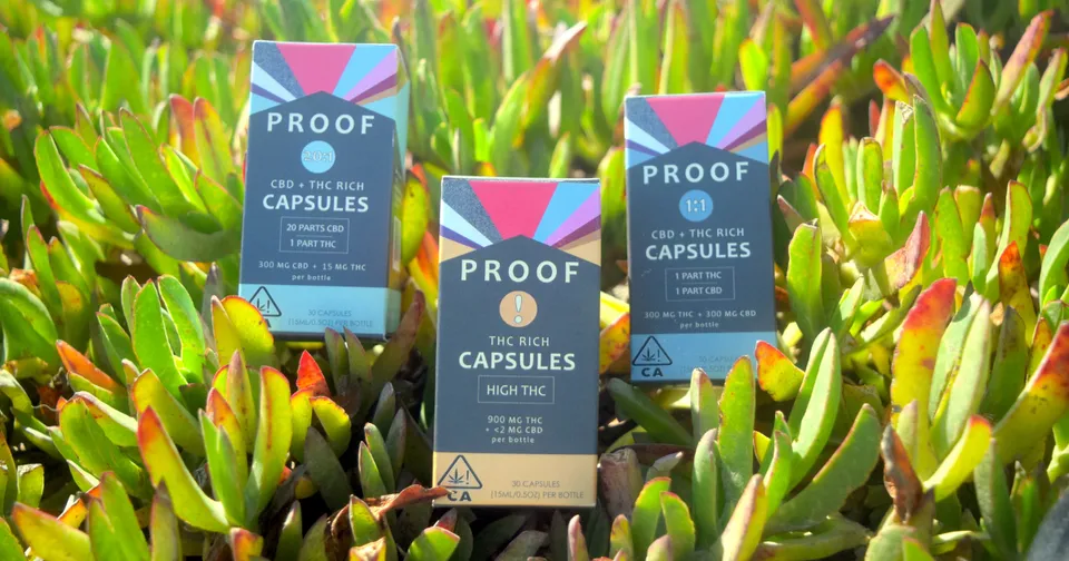 Three Proof CBD capsules boxes in blue and beige among green succulent plants