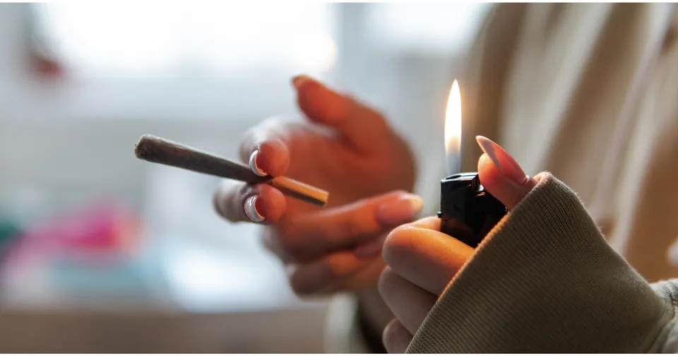 Product Recommendations for Beginner Cannabis Consumers — featured image