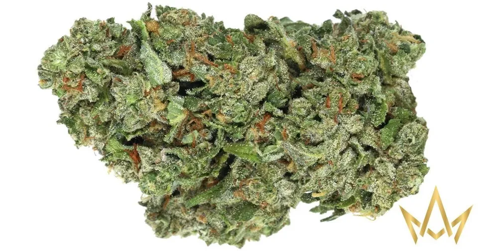 Close-up of a green cannabis bud with orange hairs on a white background