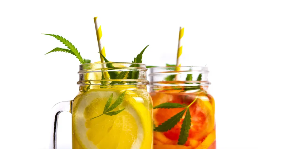 We’ll Canna-Drink to That! — featured image
