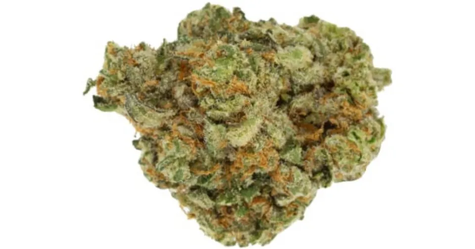 Close-up of a green cannabis bud with orange hairs on a white background