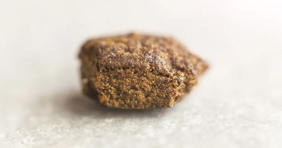 Close-up of a small brown granule or pebble on a white surface, softly lit.