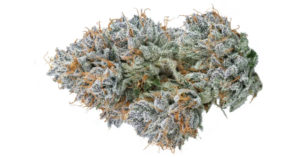 Close-up of a frosty cannabis bud with orange hairs on a white background