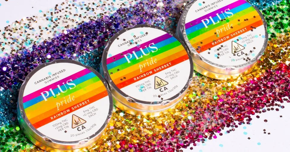 Celebrate Pride with PLUS and the SF Queer Nightlife Fund — featured image