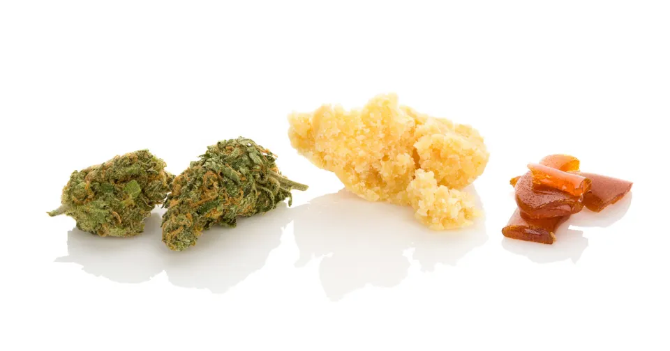 Three cannabis concentrates on a white background: green buds, yellow crystals, and amber shards