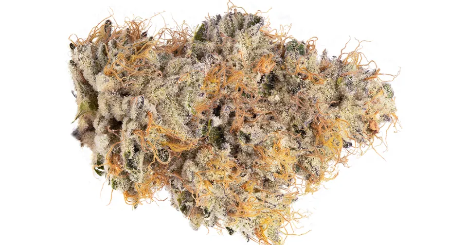 Close-up of a frosty cannabis bud with orange hairs on a white background