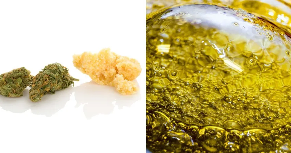 Cannabis buds and yellow cannabis oil bubbling in a close-up split image