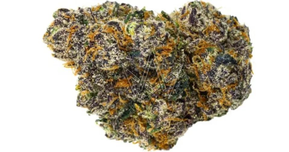 Close-up of a dense cannabis bud with purple, green, orange, and white crystals