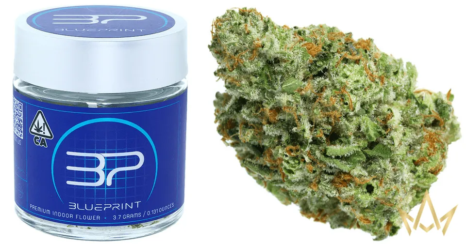 Blue cannabis jar beside a green-orange marijuana bud on a white background