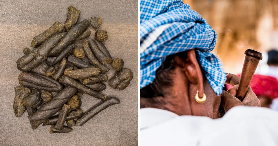 Pile of dried animal dung cakes beside a person in a blue headscarf holding one outdoors