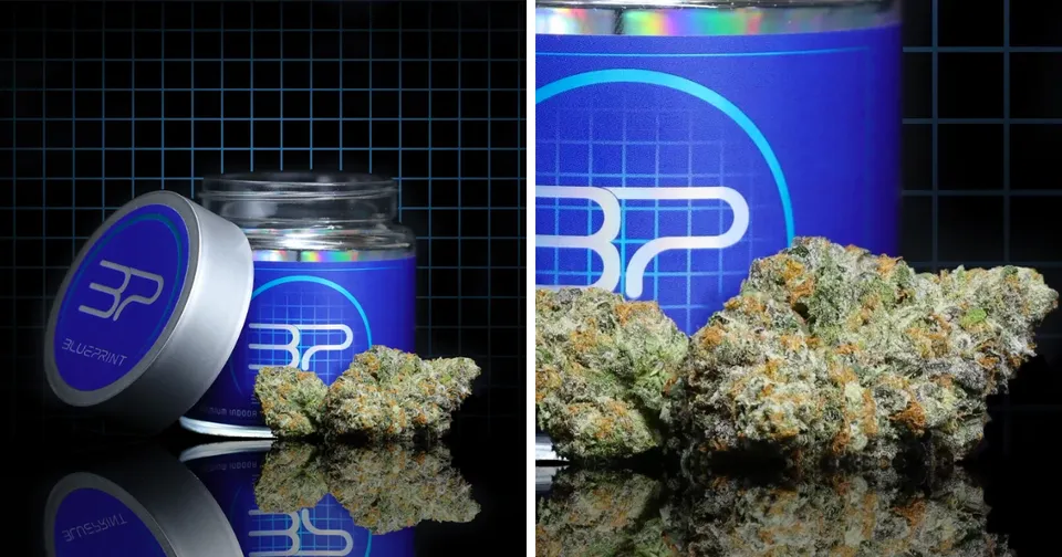 Blue cannabis jar and lid beside cannabis buds on a black reflective surface
