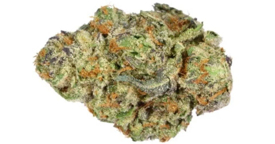 Close-up of a cannabis bud with green, orange, and purple tones on a white background