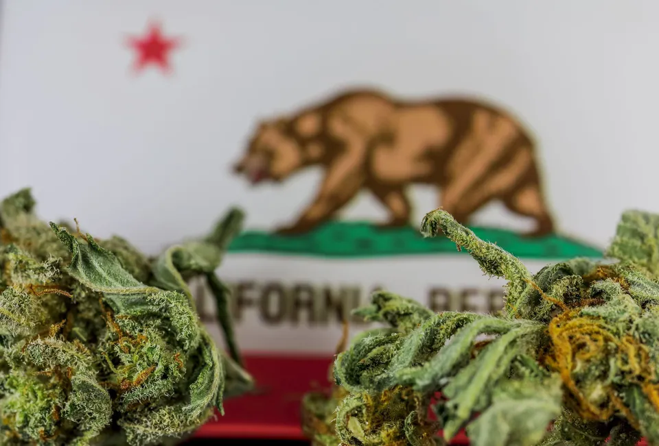 5 Famous California Cannabis Strains — featured image