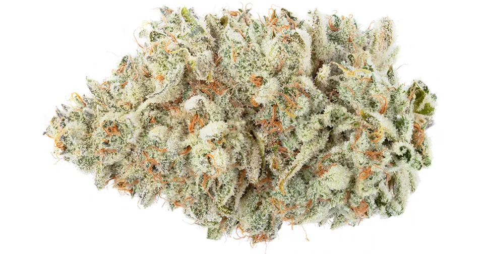 Close-up of a dense cannabis bud with green leaves and orange hairs on a white background