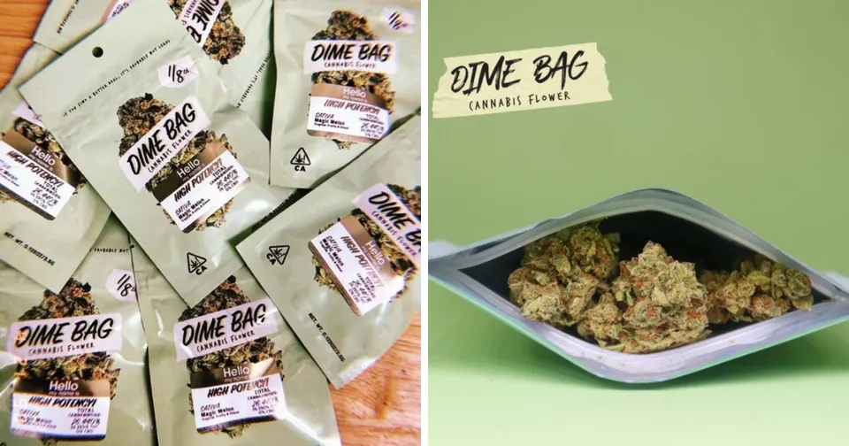 “Dime bag” marijuana packets and a tray of cannabis buds on a green background