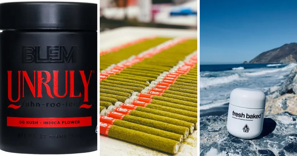Black “UNRULY” jar, colorful rows of items, and a “Fresh bake” cup by the ocean