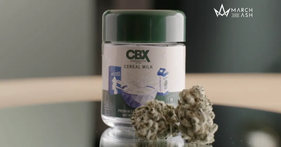 CBX herbal cream jar with green lid beside dried flowers on a reflective surface